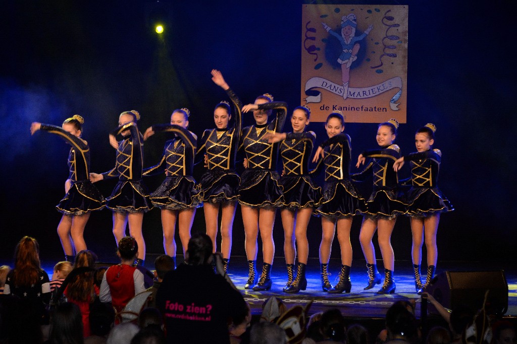 ../Images/Dansmariekefestival 2019 131.jpg